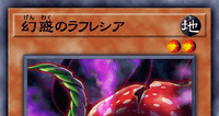 幻惑のラフレシア | 遊戯王/値段・相場 カードショップかもめ